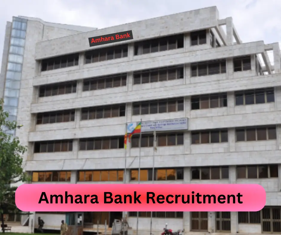 Amhara Bank Recruitment 2024 Submit @vacancy.amharabank.com.et Career Portal