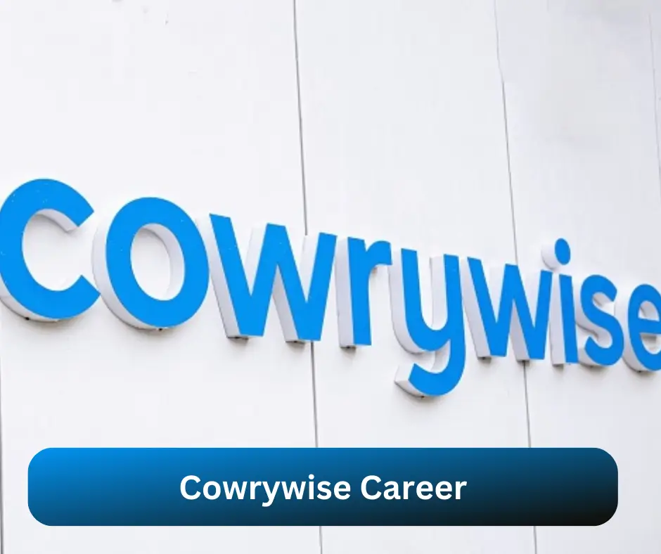Cowrywise Career 2024 Submit @cowrywise.com Career Portal