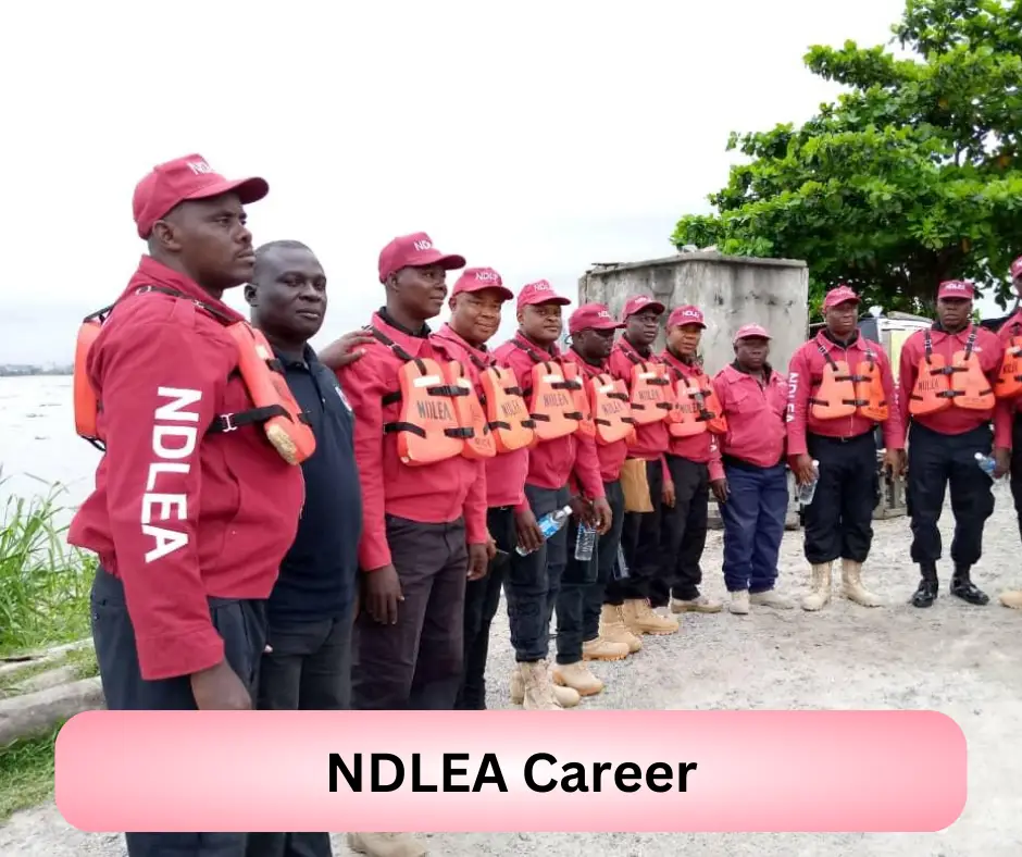 NDLEA Career 2024 Submit @ndlea.gov.ng Career Portal