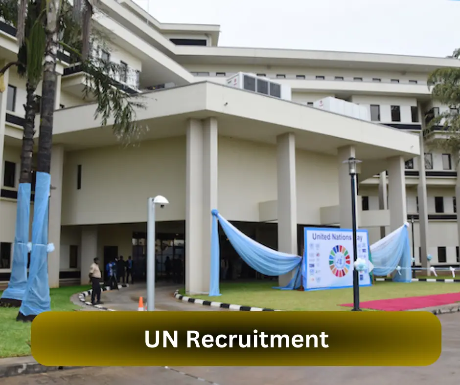 UN Recruitment Submit @nigeria.un.org Career Portal